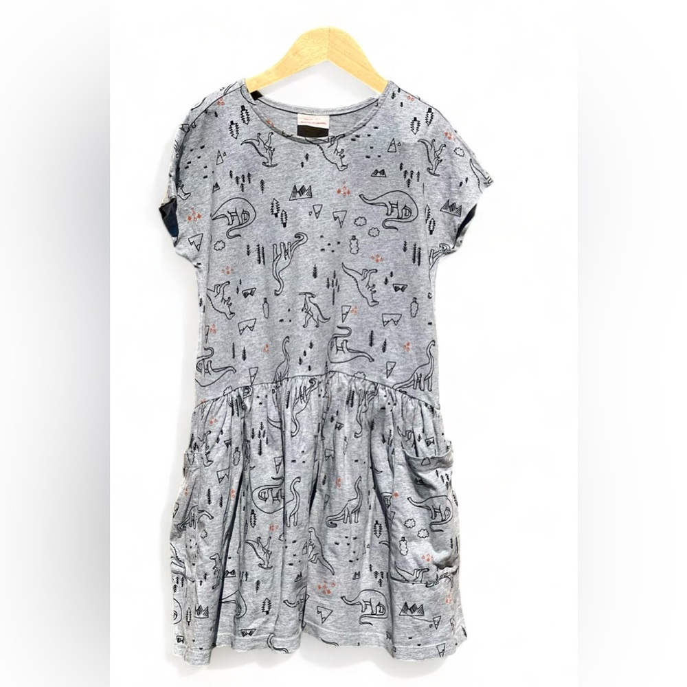 Hanna Andersson Dinosaurs Print Playground Dress With Pockets